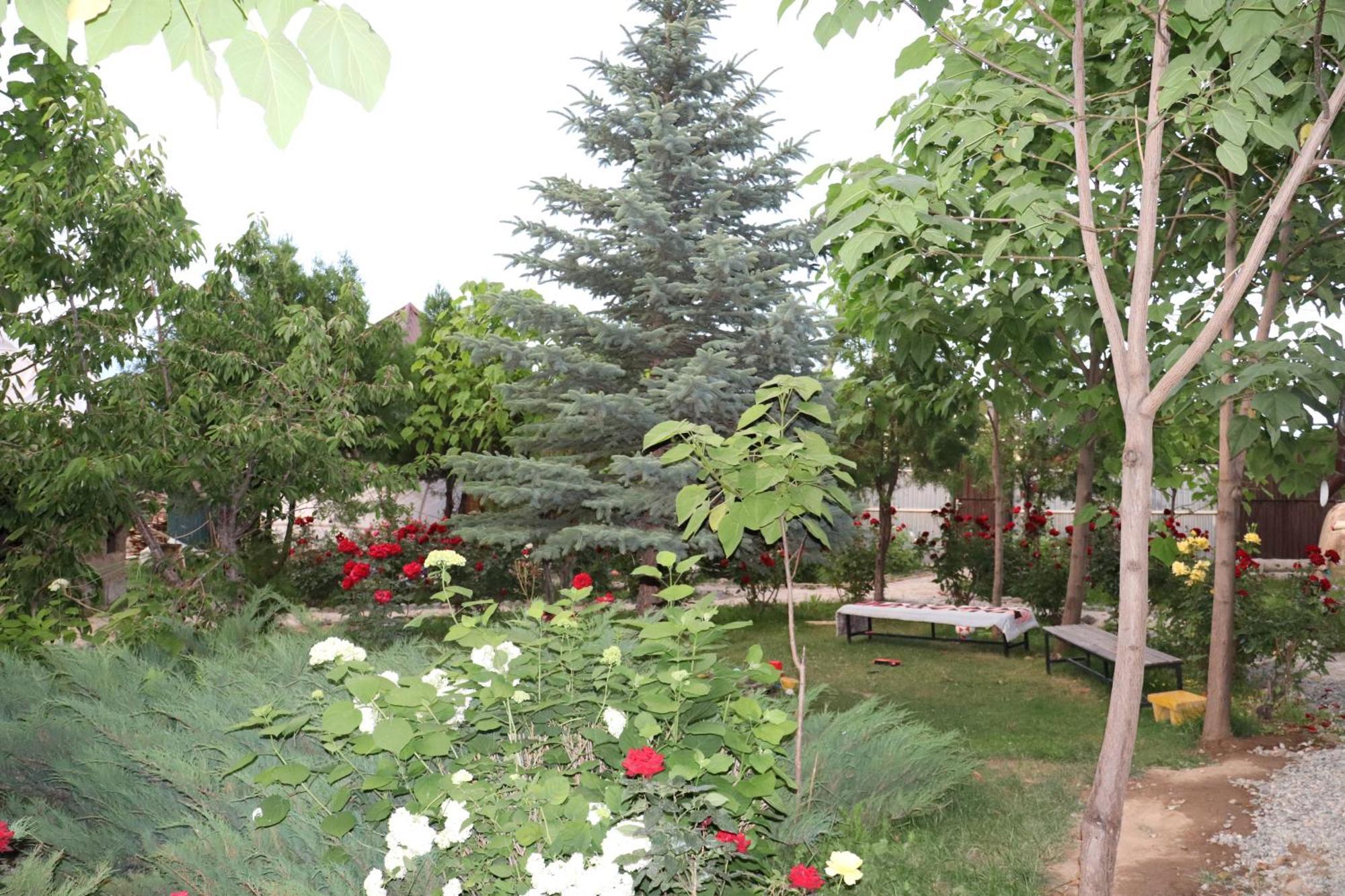 Happy Nomads Yurts & Hostel Karakol Exterior foto