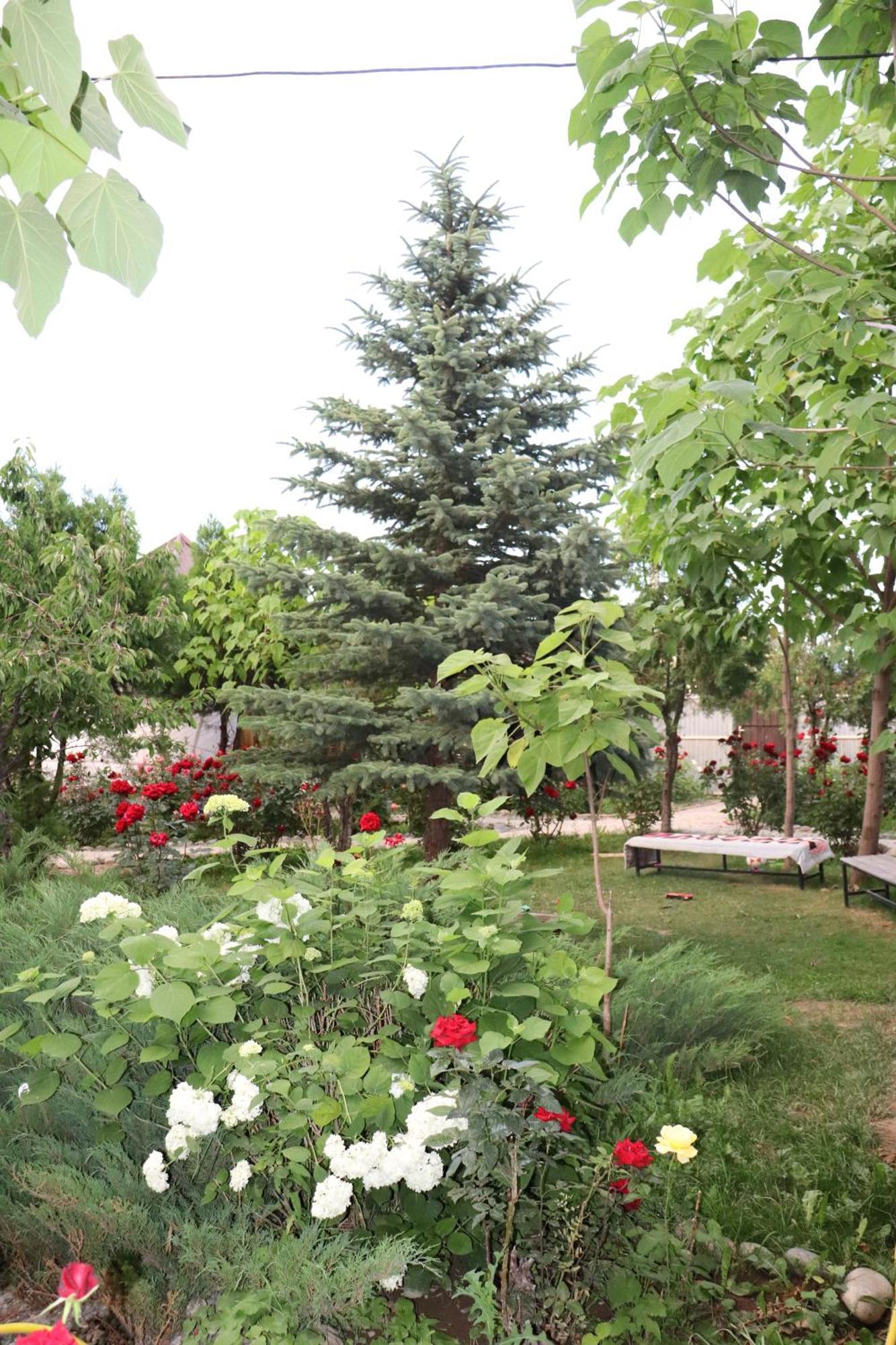 Happy Nomads Yurts & Hostel Karakol Exterior foto