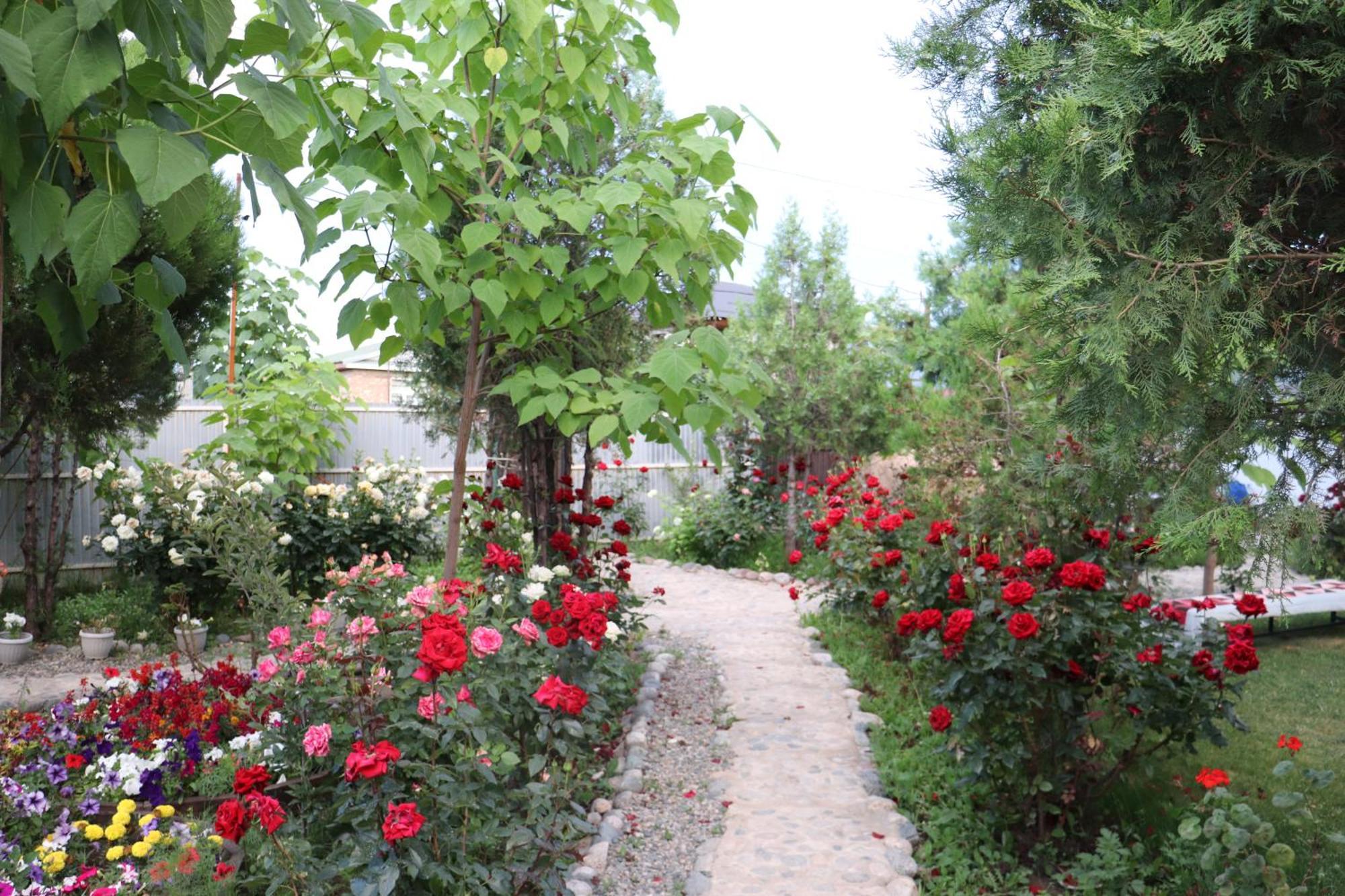 Happy Nomads Yurts & Hostel Karakol Exterior foto