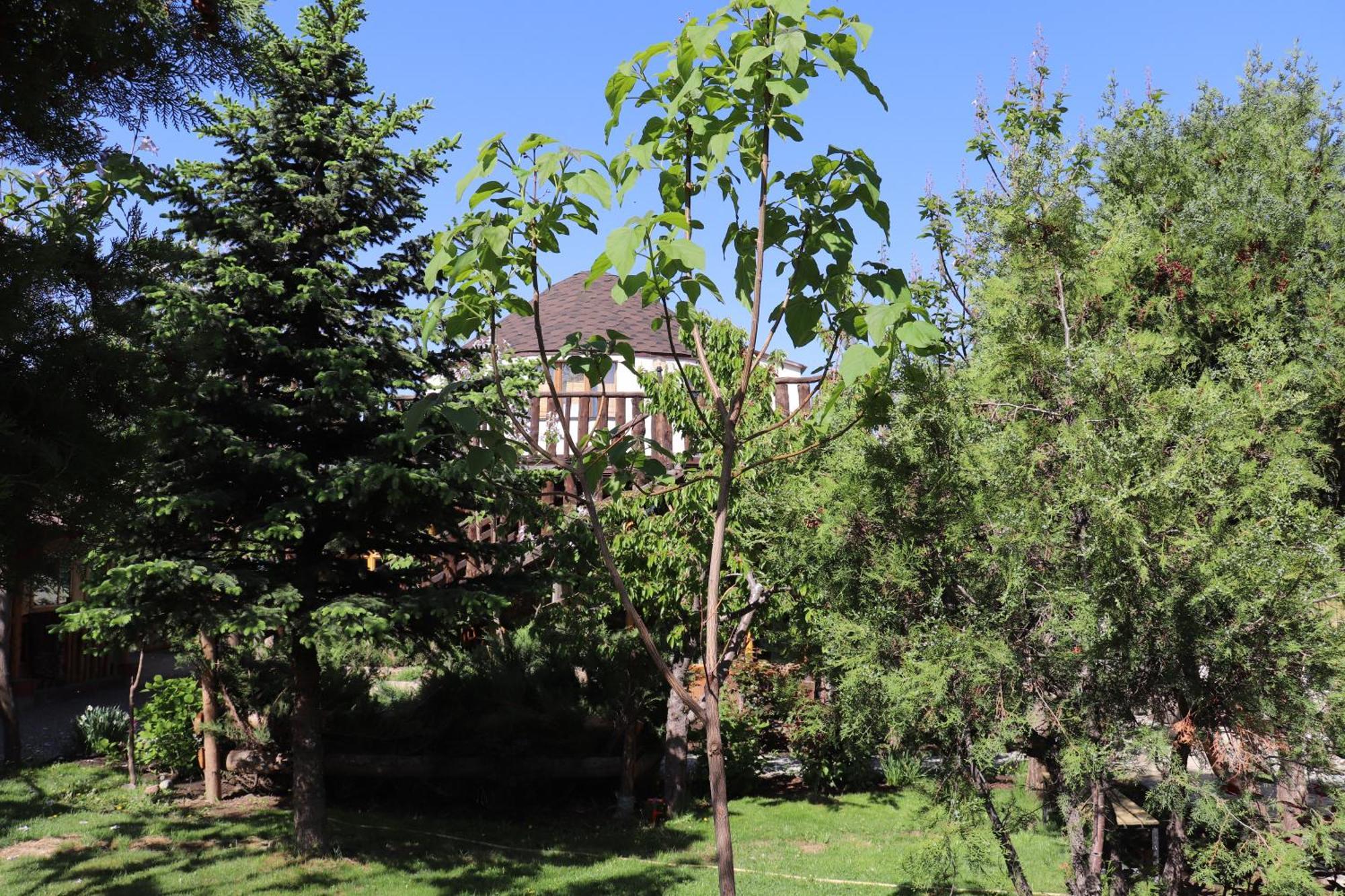 Happy Nomads Yurts & Hostel Karakol Exterior foto